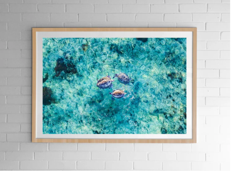 Art & Prints