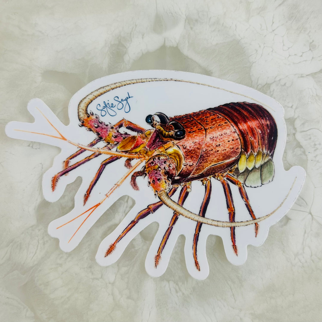 Rodney Western Rock Lobster Sticker