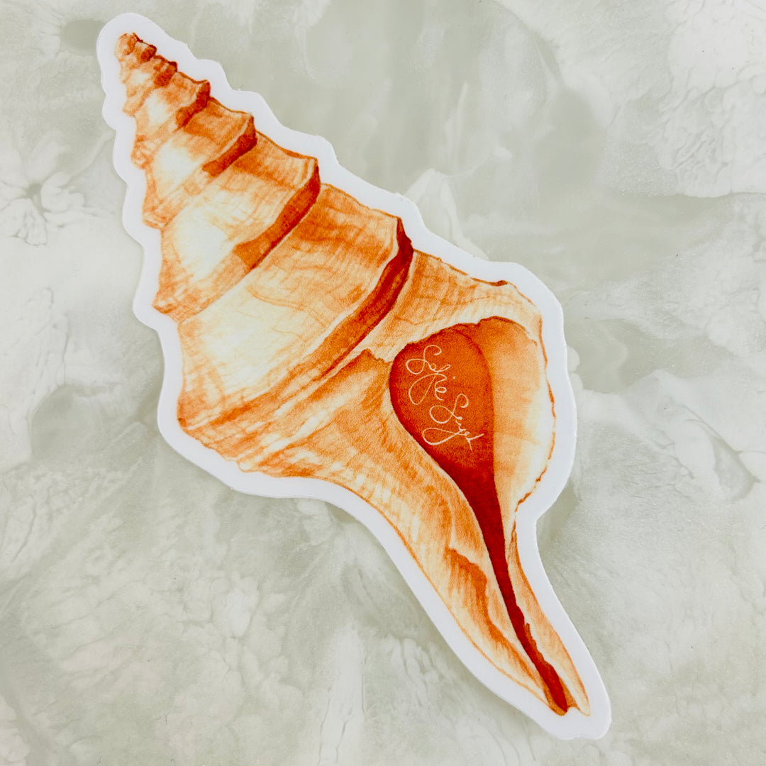 Australian Trumpet Conch Sticker