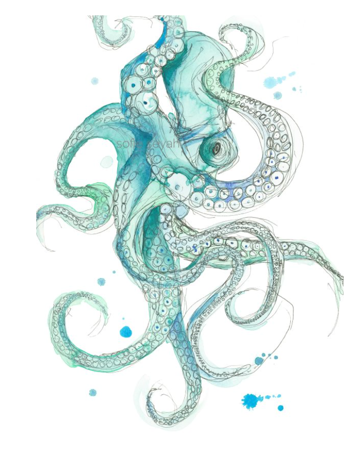 Señor Octopus Watercolour Eco Art Print A4