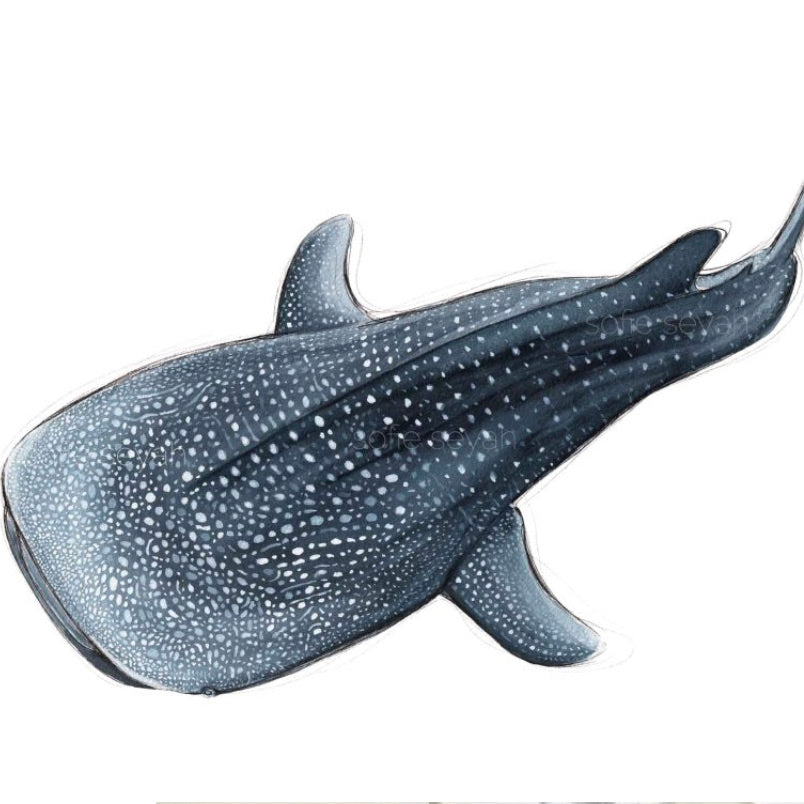 Deep Dive Whale Shark A4