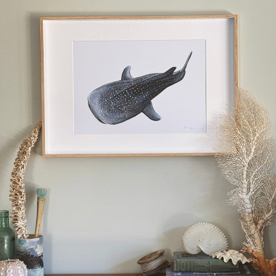 Deep Dive Whale Shark A4