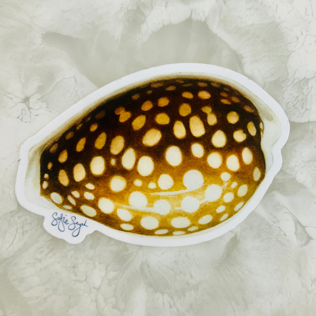 Sieve 'Cribbie' Cowrie Sticker