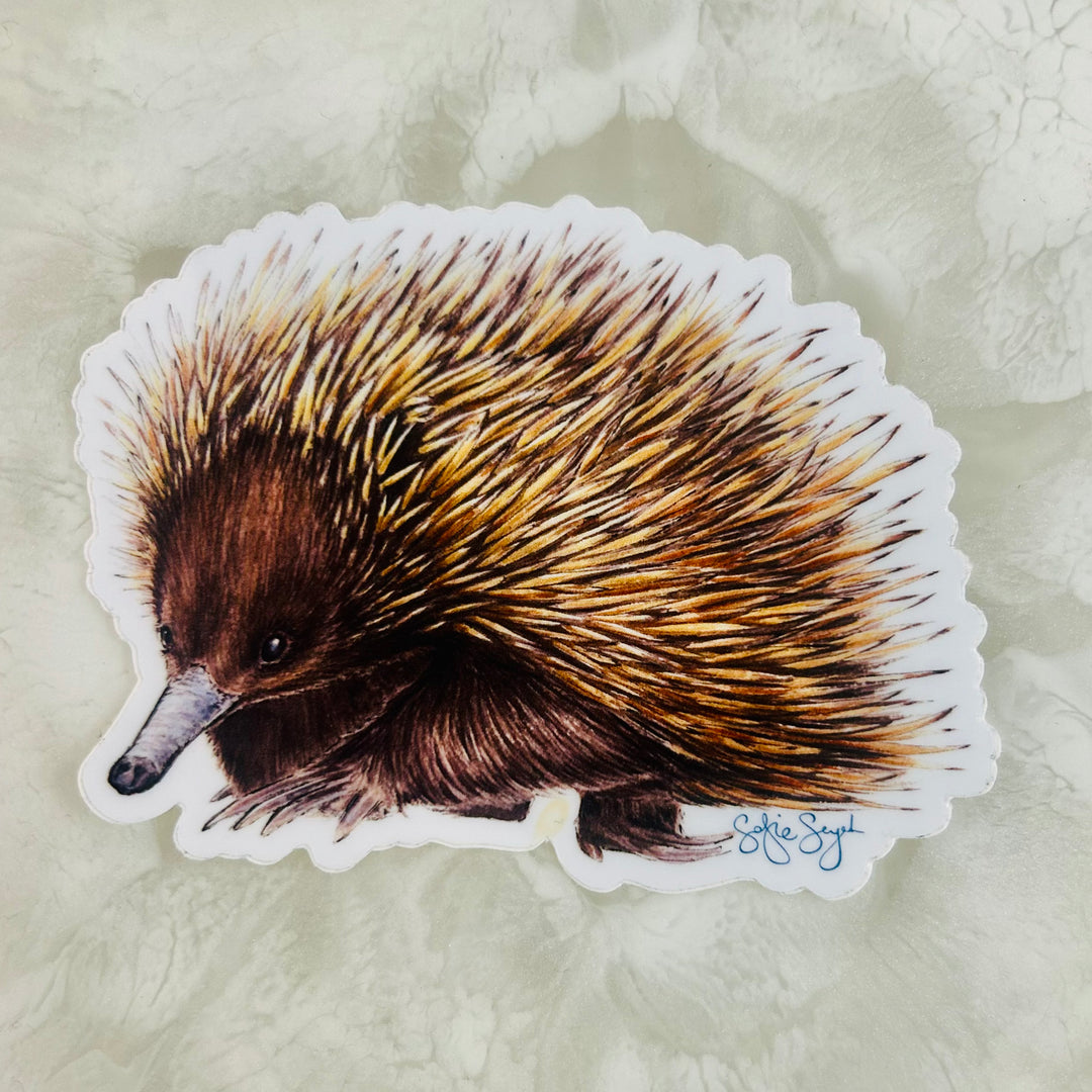 Kai the Echidna Sticker
