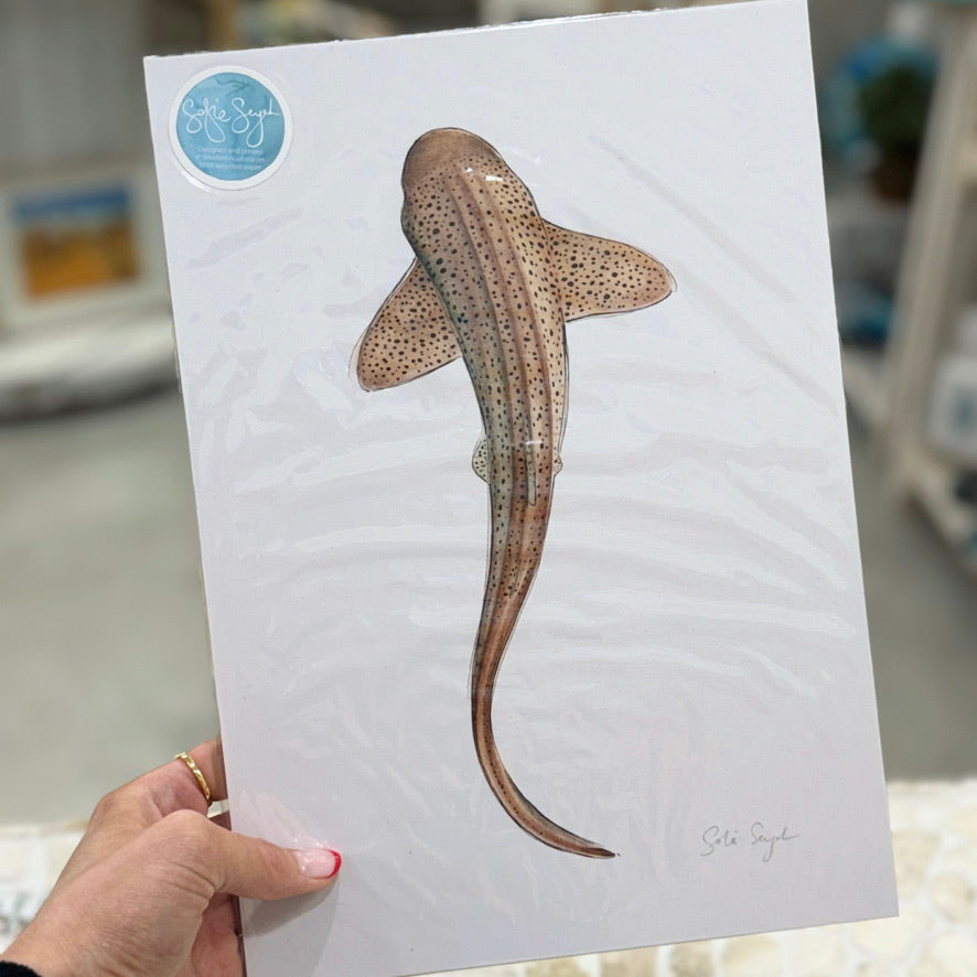 Zebra-Leopard Shark Watercolour Eco Art Print