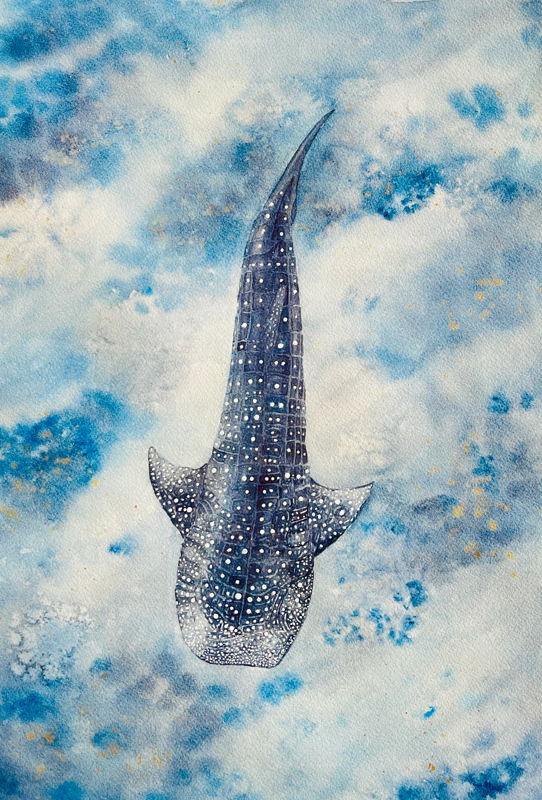 Whale shark #2 Print