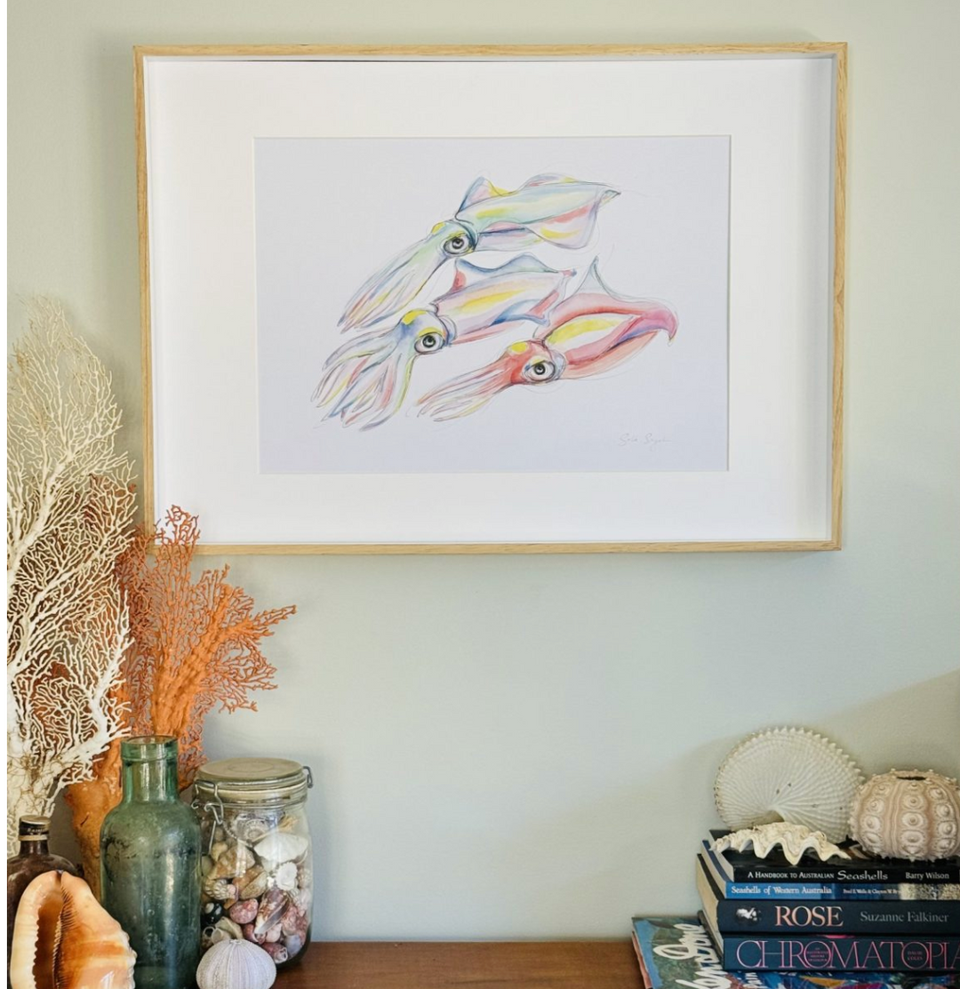 Southern Calamari (Squid) Trio Watercolour Eco Art Print A4