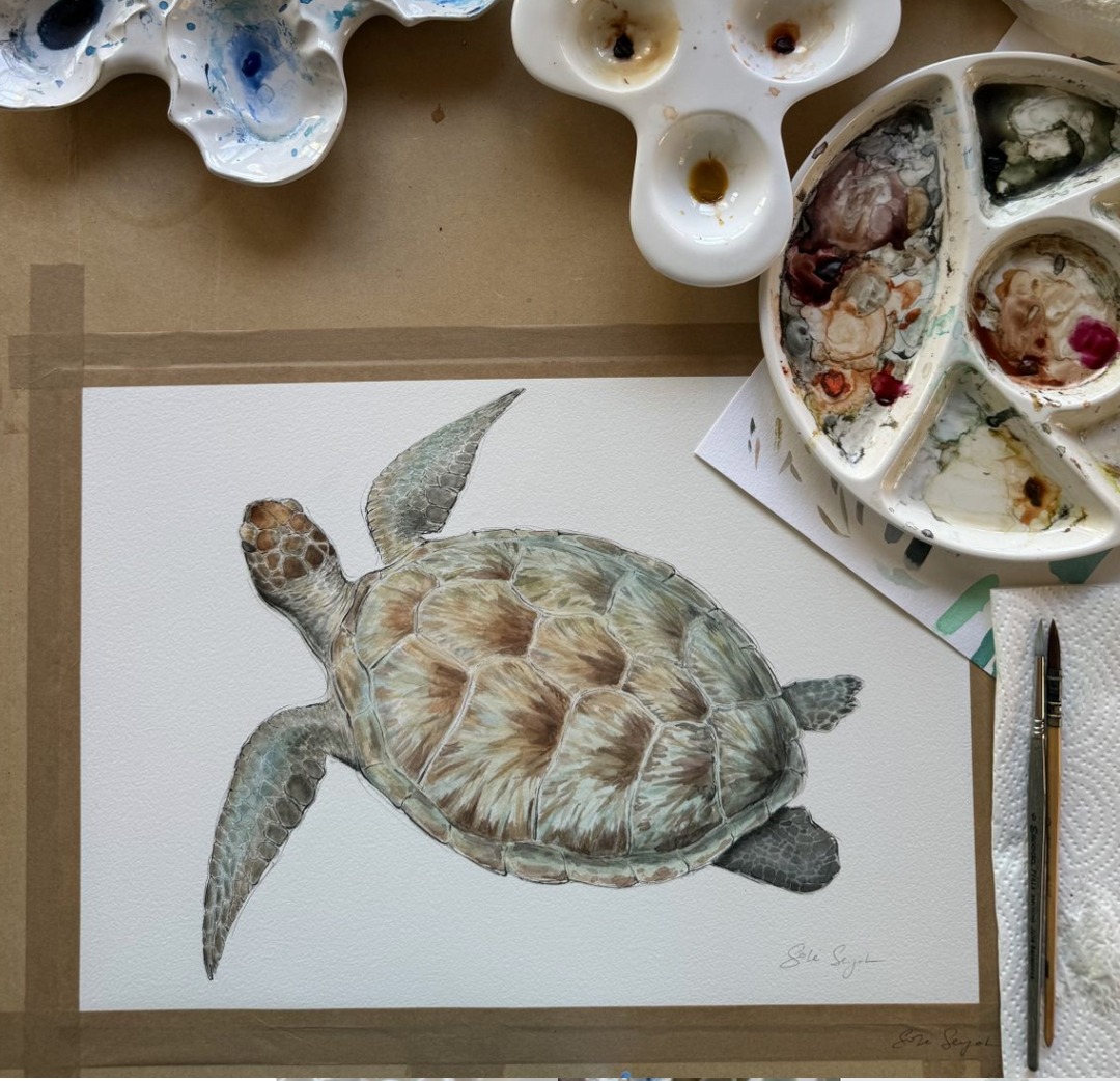 Split Green Turtle Watercolour Eco Art Print