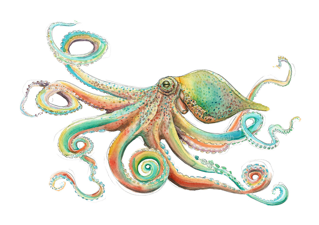 Arcoíris (Rainbow) Octopus Eco Art Print