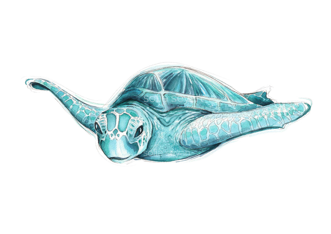 Arel Green Turtle Watercolour Eco Art Print