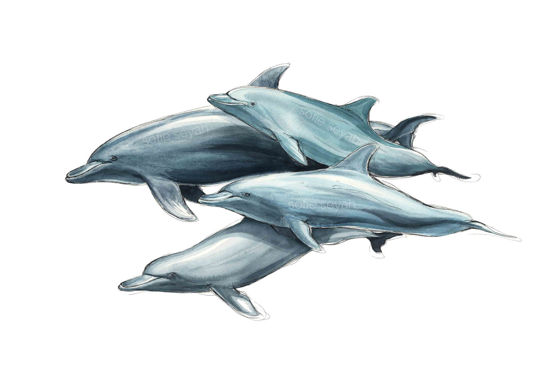 Bottlenose Dolphin Pod Watercolour Eco Art Print