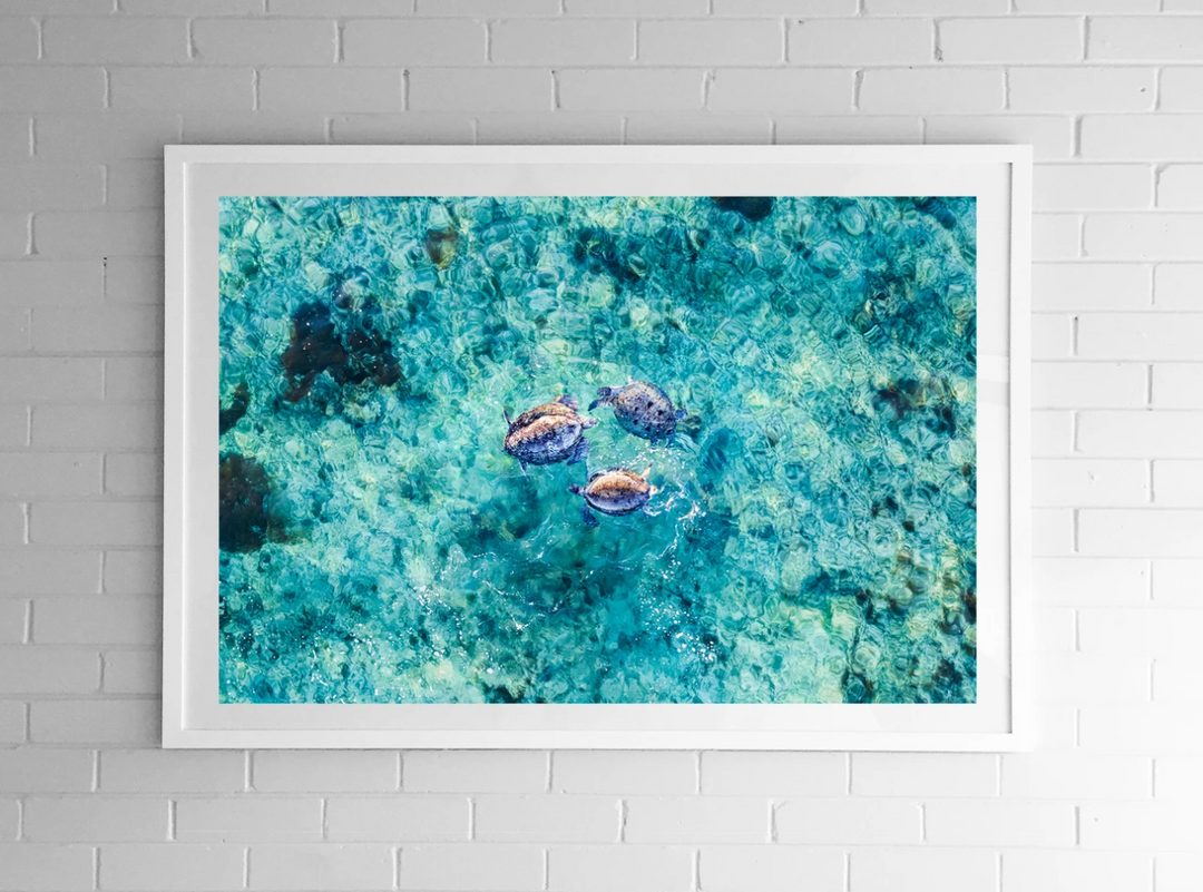 Sixty Summers Exmouth