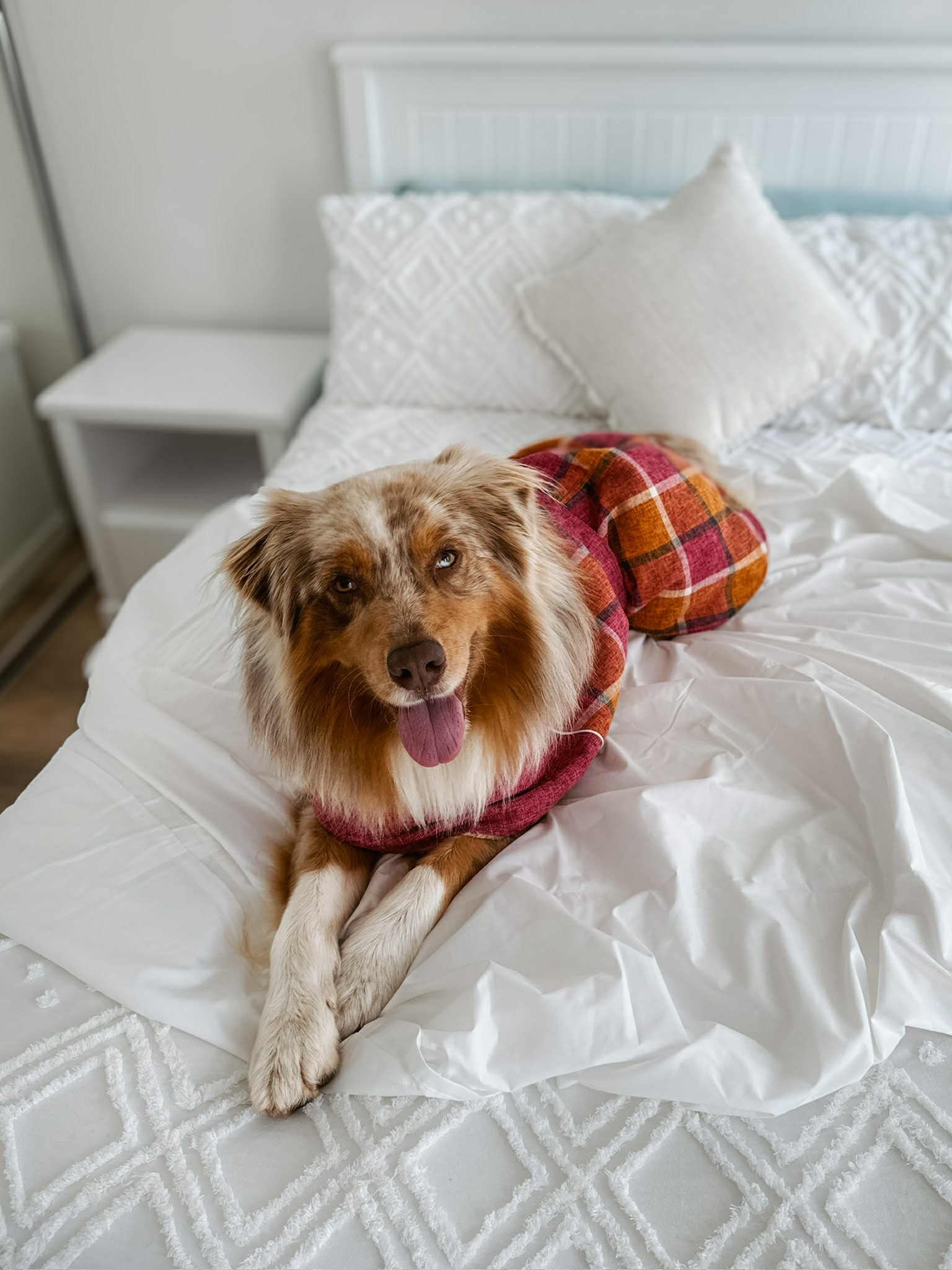 Handmade Love For Your Fur Baby