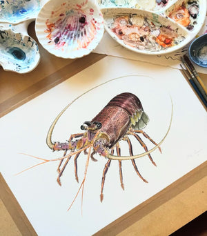 Crayfish Watercolour Eco Art Print A3
