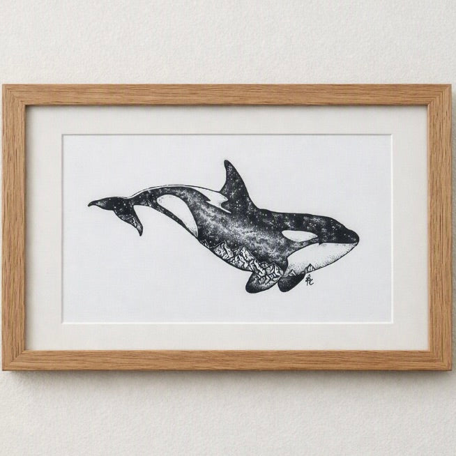 Milkyway Orca