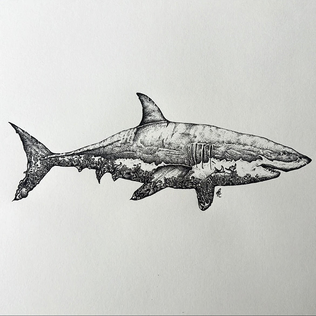Great White Shark