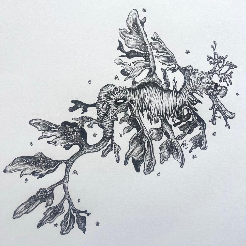Leafy Sea Dragon