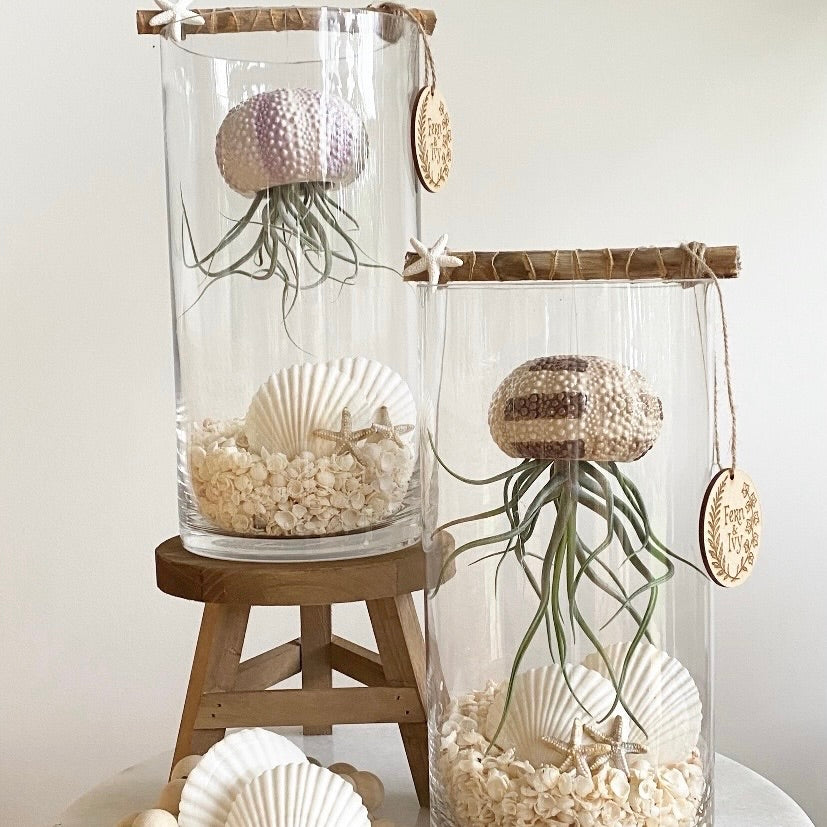 Sea Breeze Floating Air Plant *Delivery conditions apply