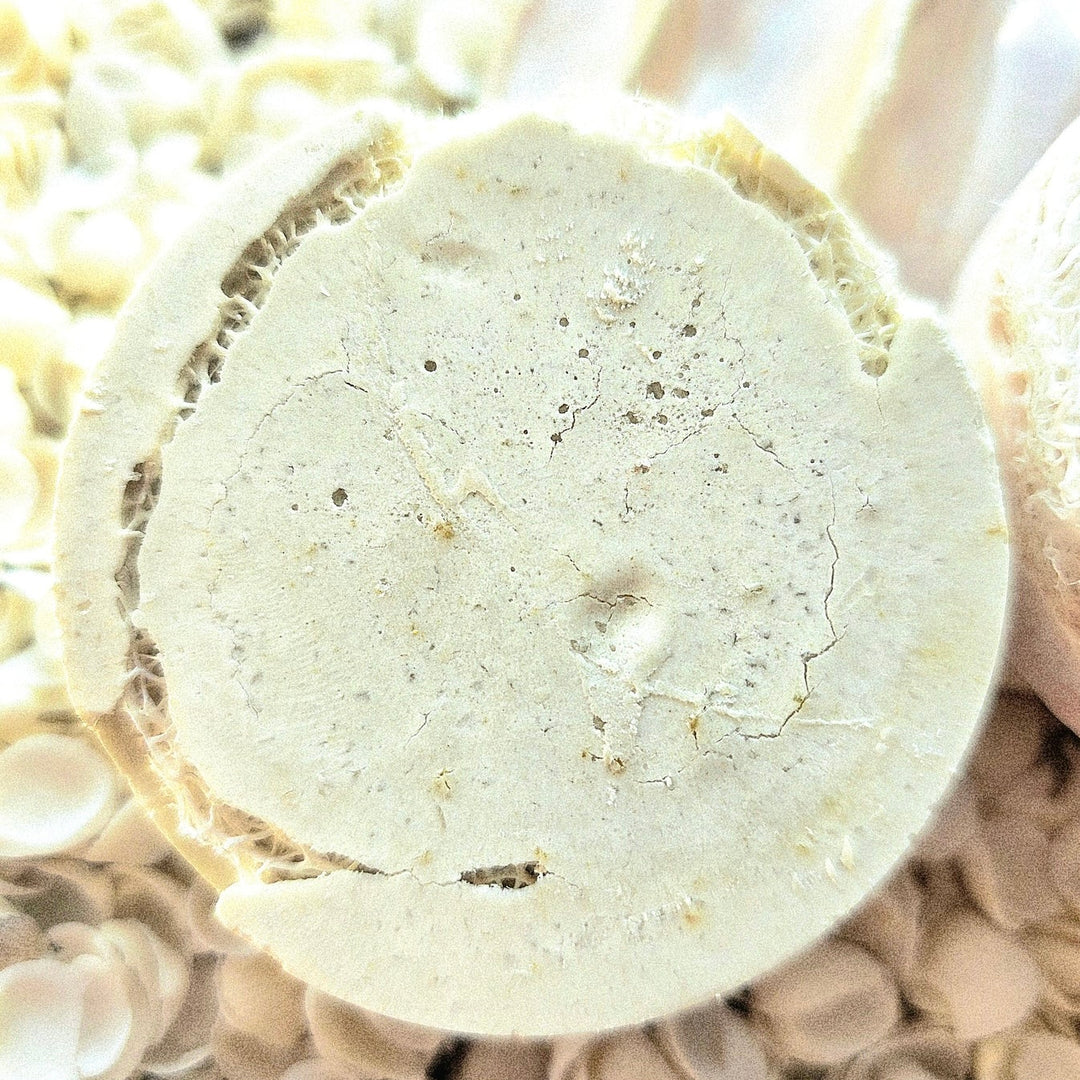 Ningaloo Glow - Twin Wildcrafted Loofah Cleansers