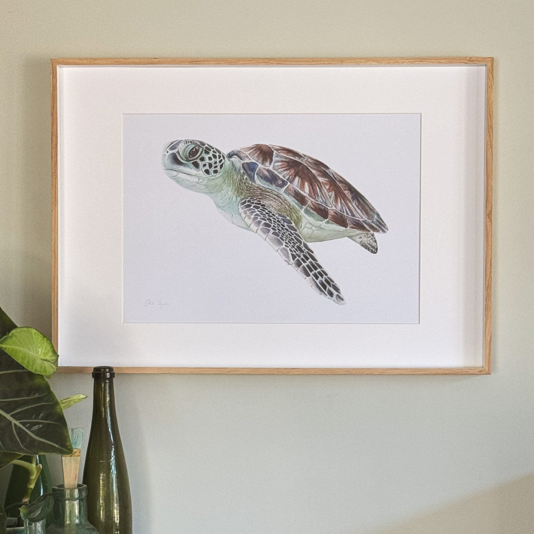 Buyungurra Green Turtle Watercolour Eco Art Print