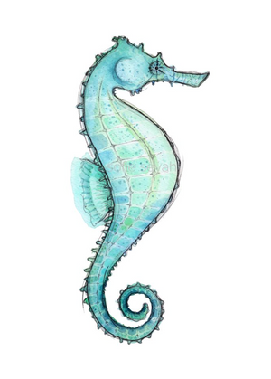 Seahorse Watercolour Eco Art Print A4