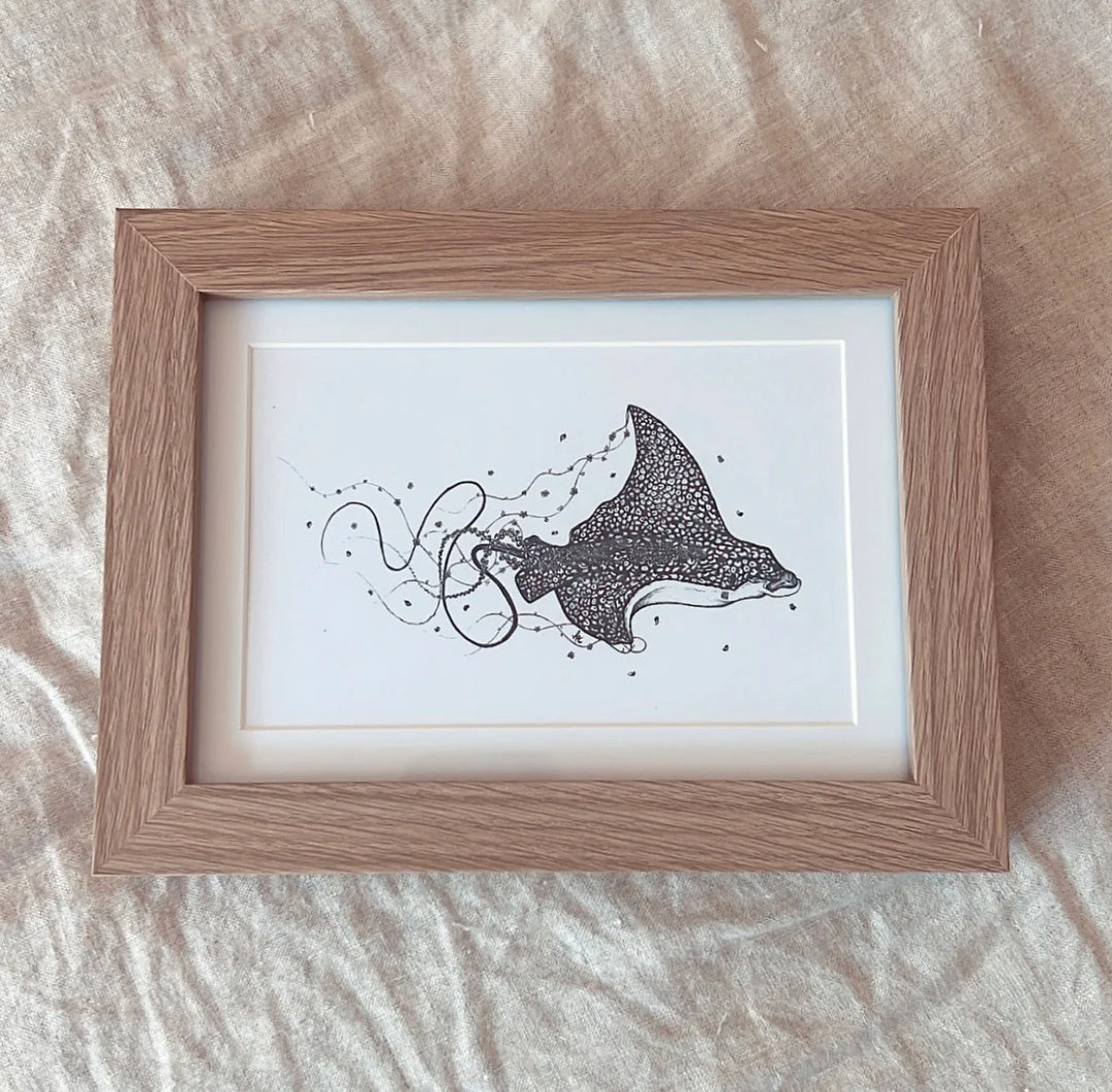 Elsie the Spotted Eagle Ray