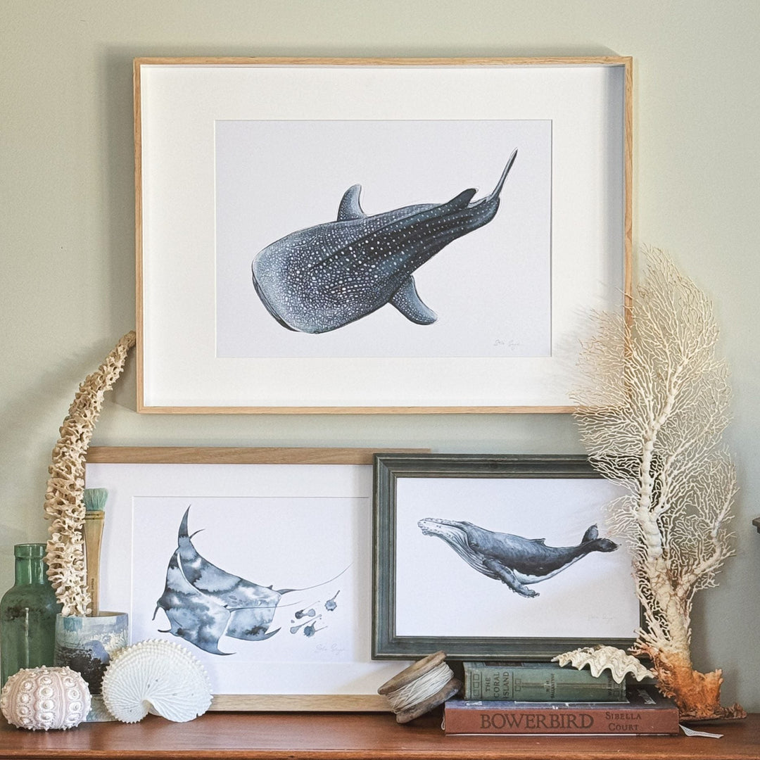Deep Dive Whale Shark A4