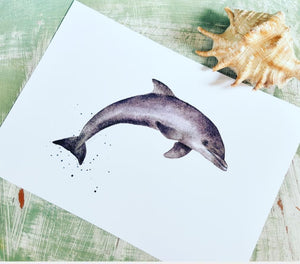 Caroline Hazell A4 Dolphin Print